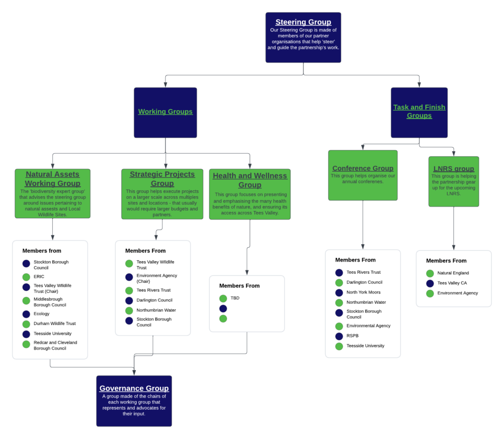 Org Chart Tees Valley Nature Partnership