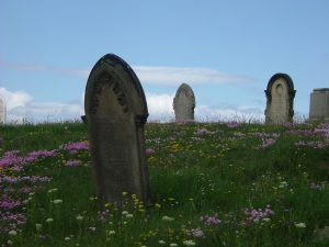 Cemetries and Churchyards - Spion Kop - Tees Valley Wildlife Trust